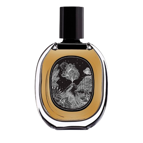 Arabian Nights in a Bottle: Irresistible Allure of Oud Perfume